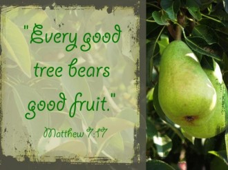 Good Fruit Christian Photo