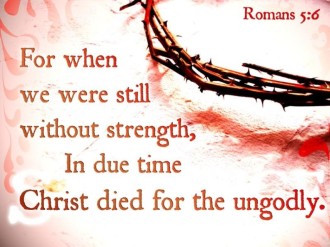 Crown of Thorns Photo with Scripture