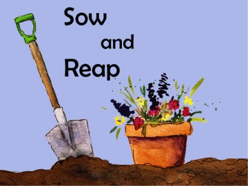 Sow and Reap PowerPoint