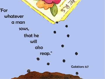 Sow and Reap PowerPoint