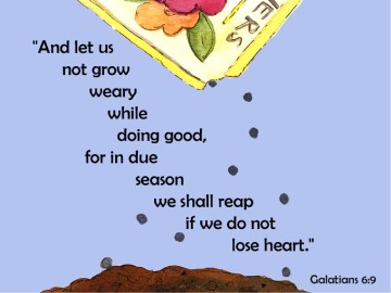 Sow and Reap PowerPoint