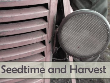 Seedtime and Harvest PowerPoint