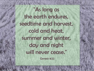 Seedtime and Harvest PowerPoint