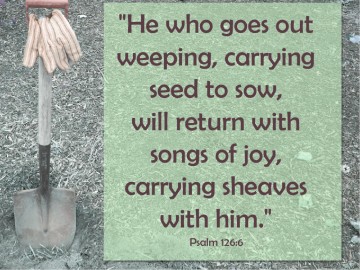 Seedtime and Harvest PowerPoint