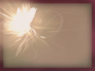 Dove with Text Ready Photograph