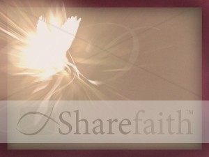 Dove with Text Ready Photograph