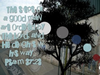 Steps of a Good Man Christian Background