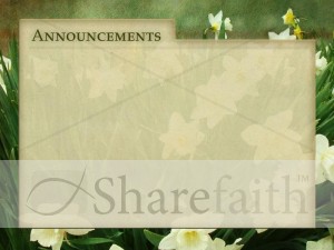 Tulips and Announcements Background