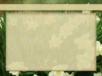 Text Ready Photograph with Tulips