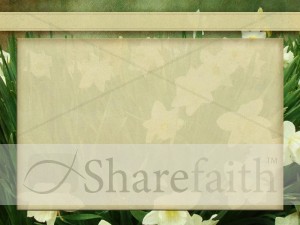 Text Ready Photograph with Tulips