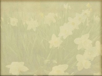 Faded Tulips Christian Background
