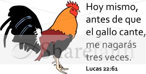 El Gallo Cante