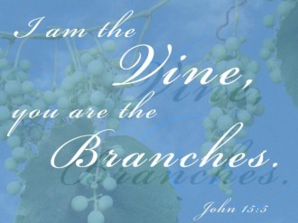 Vines and Branches Christian Background