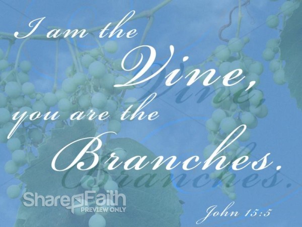 Vines and Branches Christian Background