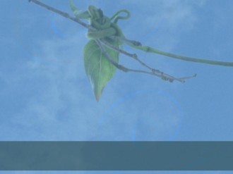 Connected Vines