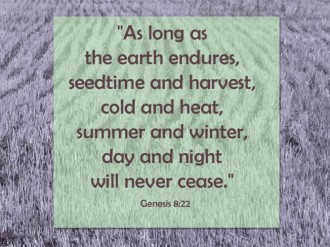 Earth Endures Photo with Scripture