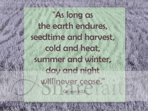 Earth Endures Photo with Scripture