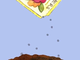Sowing Seeds
