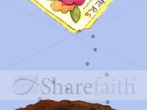 Sowing Seeds