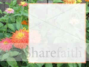 Colorful Flowers and Text Box