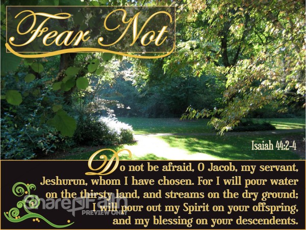 Fear Not Christian Photo
