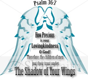 Shadow of Your Wings