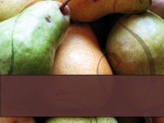 Pears at Harvest