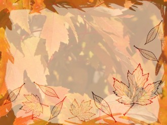 Many Fall Leaves