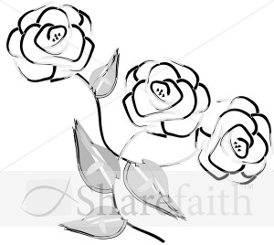 Three Gray Roses