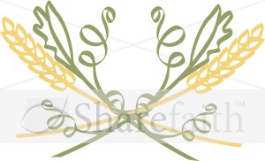 Wheat Paage Accent
