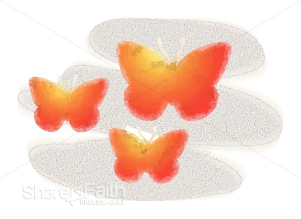 Three Graphic Butterflies