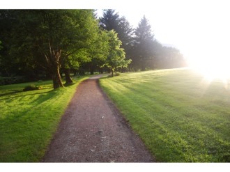 Path Leading to the Light