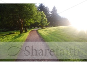 Path Leading to the Light