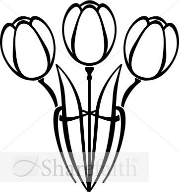 Mothers Day Tulips
