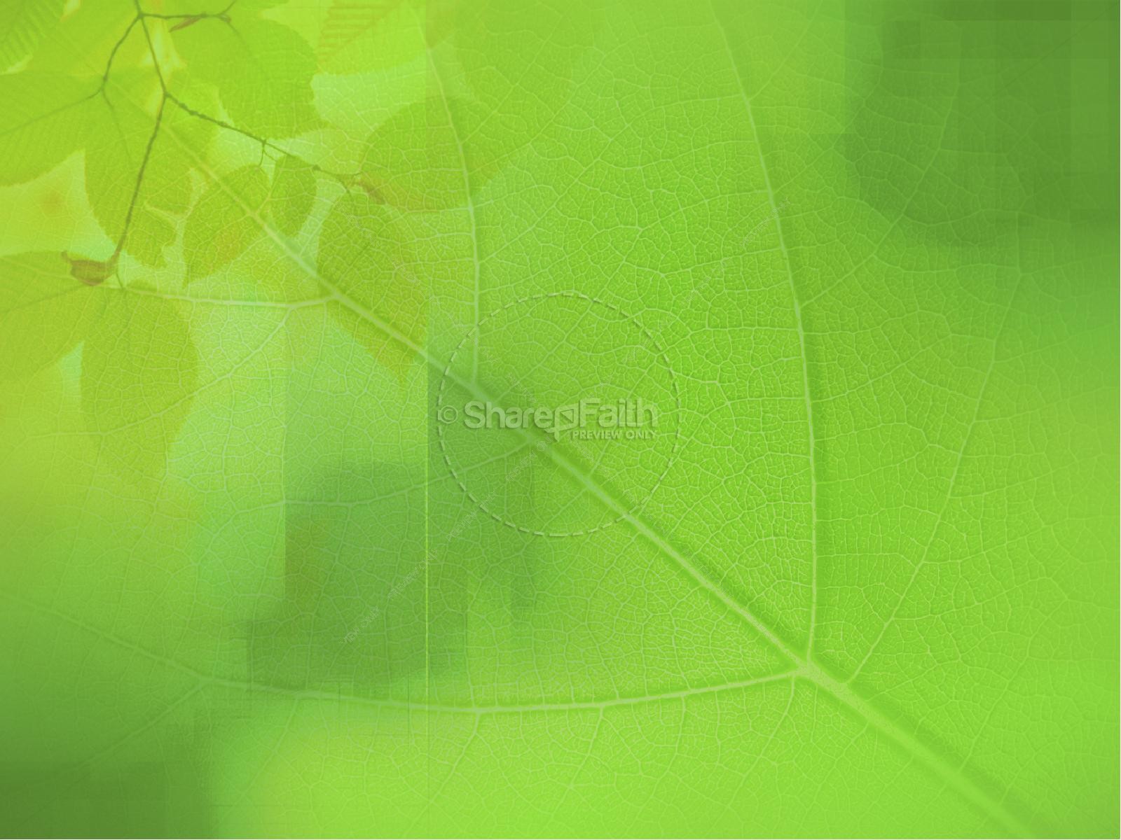Kindness and Goodness Fruit of the Spirit PowerPoint Template | slide 5