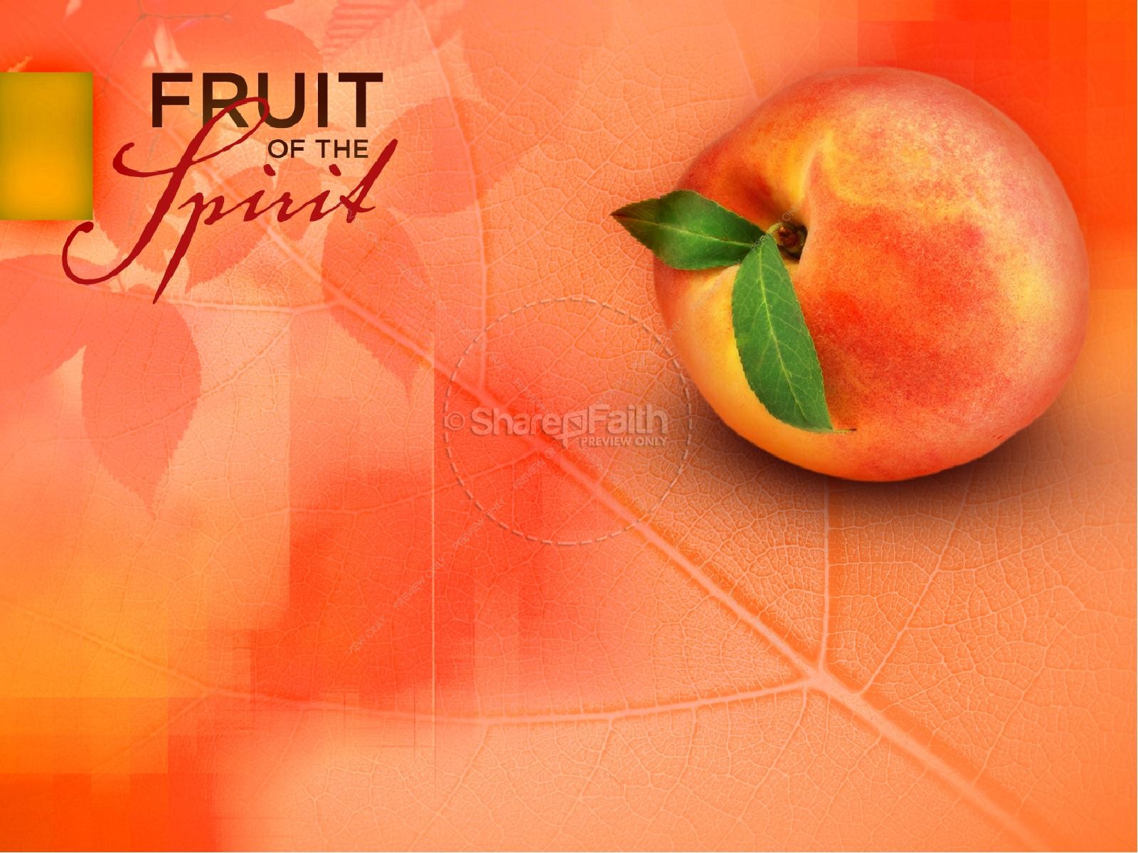Gentleness Fruit Of The Spirit Powerpoint Template | slide 3