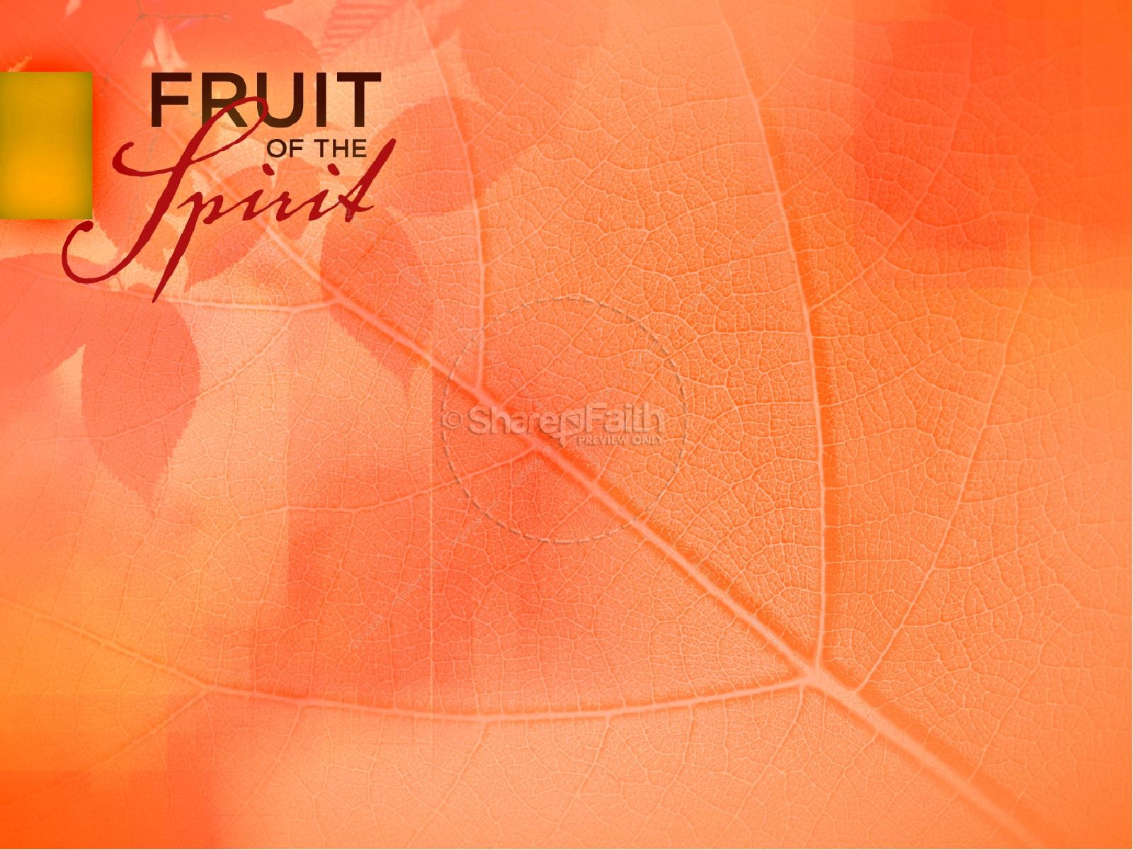 Gentleness Fruit Of The Spirit Powerpoint Template | slide 4
