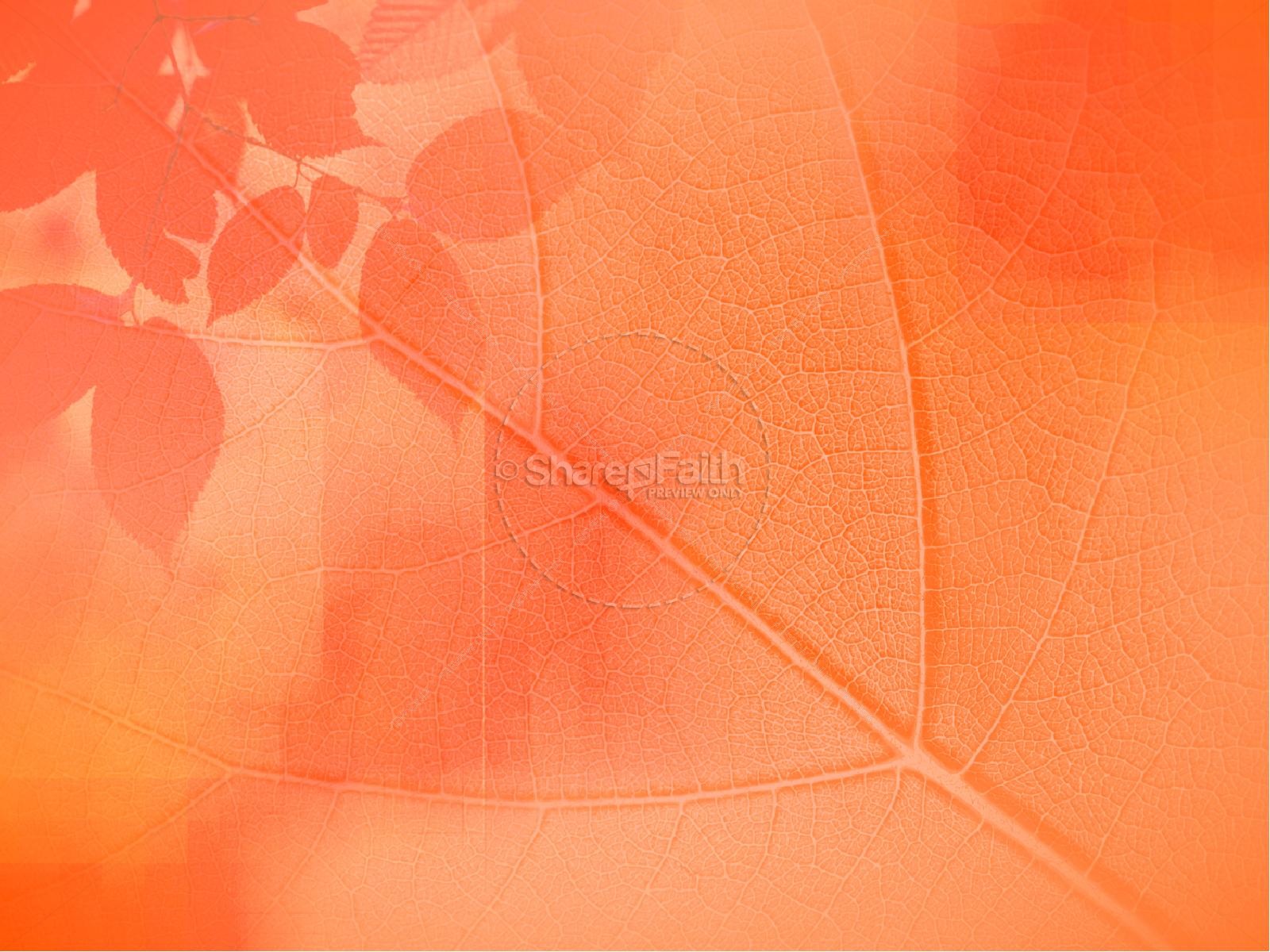 Gentleness Fruit Of The Spirit Powerpoint Template | slide 5
