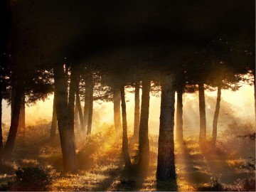 Mary Magdalene PowerPoint Template