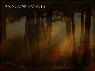 Sunlight And Trees Announcement PowerPoint Background
