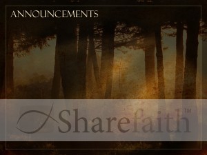 Sunlight And Trees Announcement PowerPoint Background