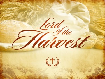 Lord Of The Harvest Church PowerPoint
