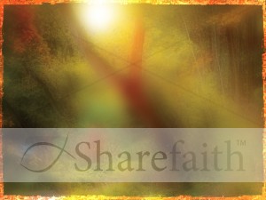 Colors Of Fall Worship Background Design