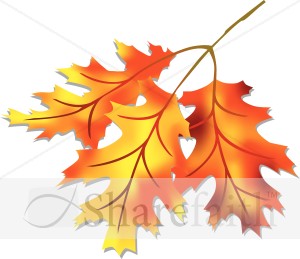 Three Fall Leaves Clipart