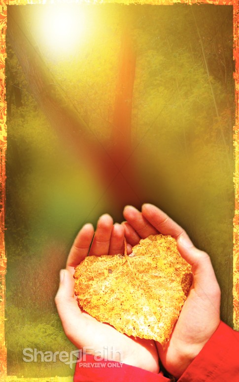 Giving Thanks Bulletin Cover