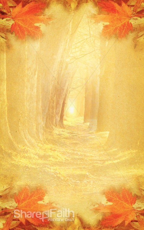 Wooded Path Bulletin Cover