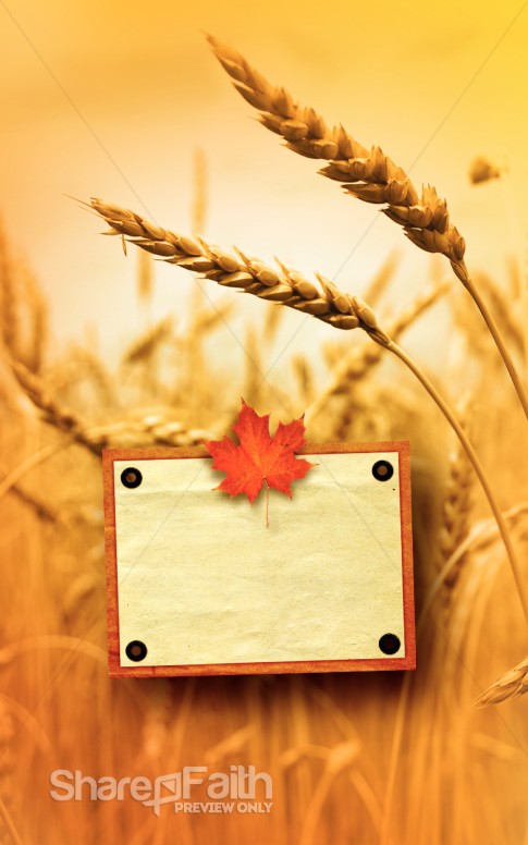 Harvest Time Bulletin Cover