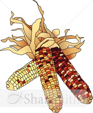 Dried Corn Colorful Clipart