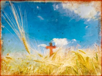 Thanksgiving Harvest Background Slide