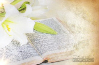 Easter Lily Resurrection Bible Worship Video Loop